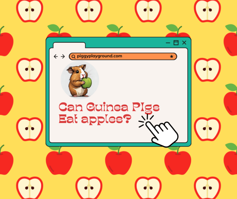Can Guinea Pigs eat apples?