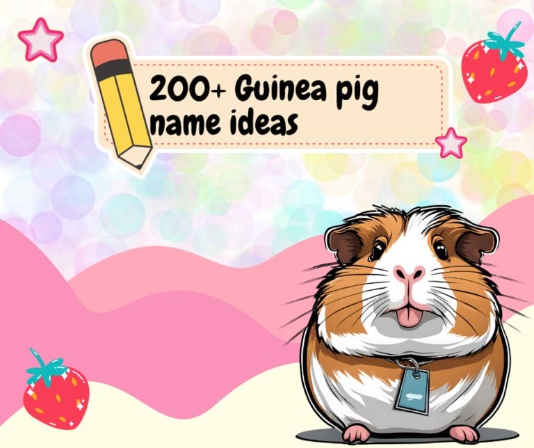 200+ Guinea pig name ideas