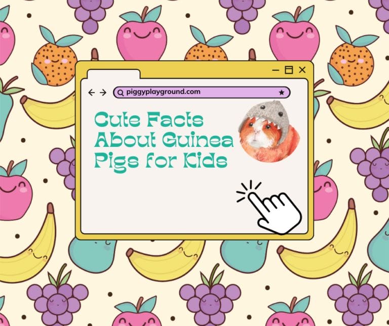 Cute guinea pig facts for children website.